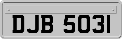 DJB5031