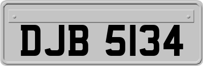 DJB5134