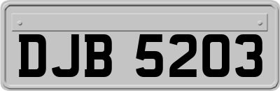 DJB5203