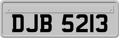 DJB5213
