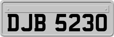 DJB5230