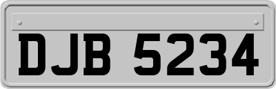 DJB5234