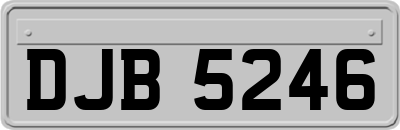 DJB5246
