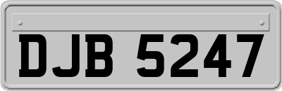 DJB5247