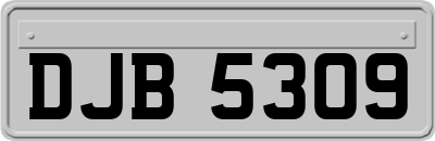 DJB5309