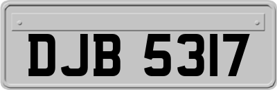 DJB5317