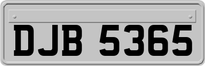 DJB5365