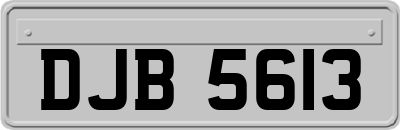 DJB5613