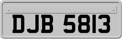DJB5813