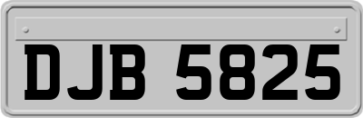 DJB5825