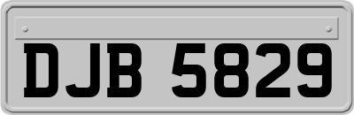 DJB5829