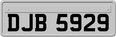 DJB5929