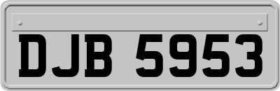 DJB5953