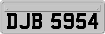 DJB5954
