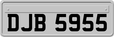 DJB5955