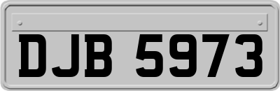 DJB5973