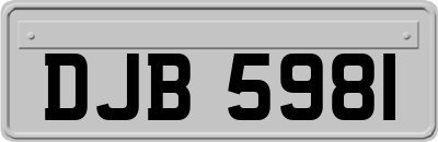DJB5981