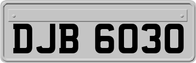 DJB6030