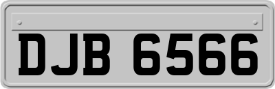 DJB6566