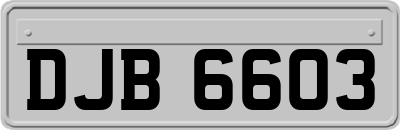 DJB6603