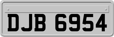 DJB6954
