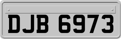 DJB6973