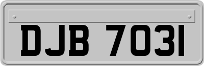 DJB7031