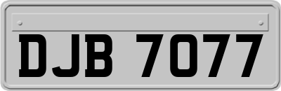 DJB7077
