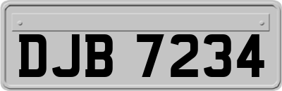 DJB7234