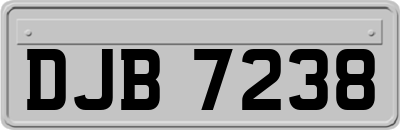DJB7238