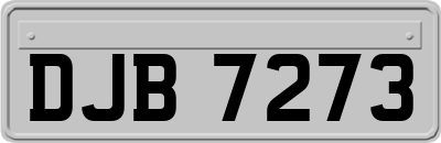 DJB7273
