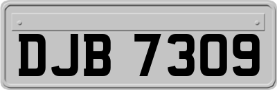 DJB7309