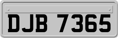 DJB7365