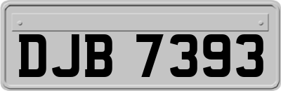 DJB7393