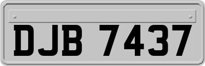 DJB7437