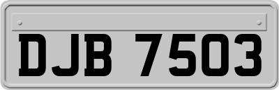 DJB7503