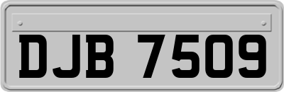 DJB7509