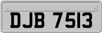 DJB7513