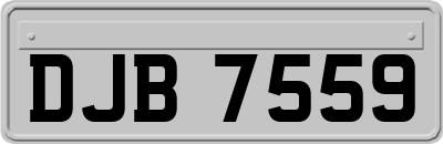 DJB7559