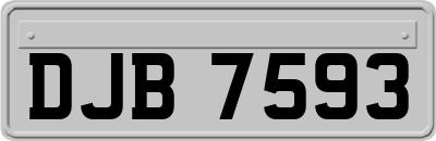 DJB7593