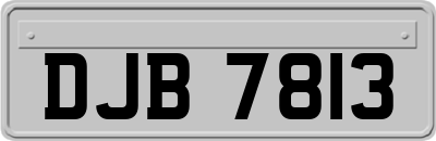 DJB7813