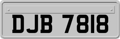 DJB7818