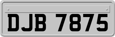 DJB7875