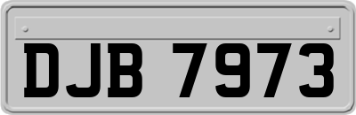 DJB7973