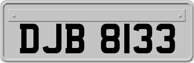 DJB8133