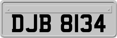 DJB8134