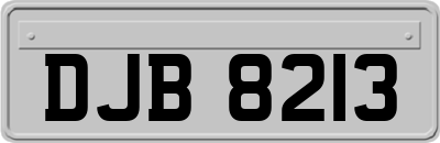 DJB8213