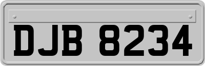 DJB8234