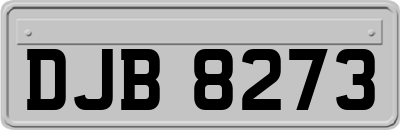 DJB8273