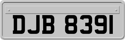 DJB8391